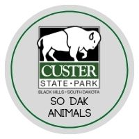 CSP Activity : So Dak Animals Badge